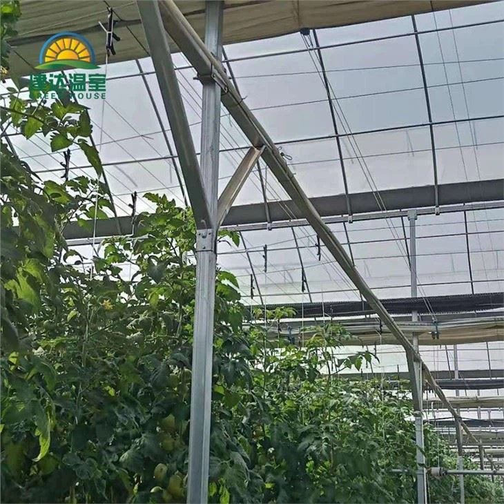 Commercial Greenhouse