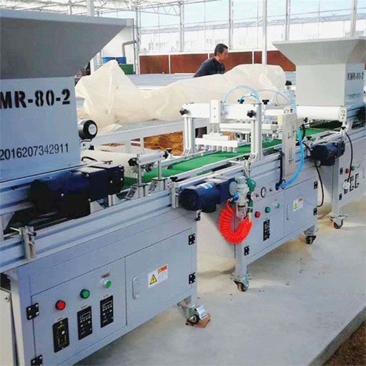 Automatic-seeding-green-house