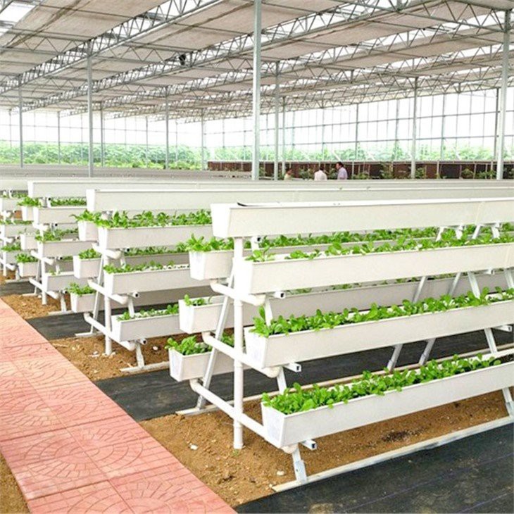 Hydroponics Growing Gutters  greenhouse