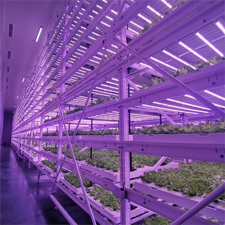 www.greenhouse-china.com