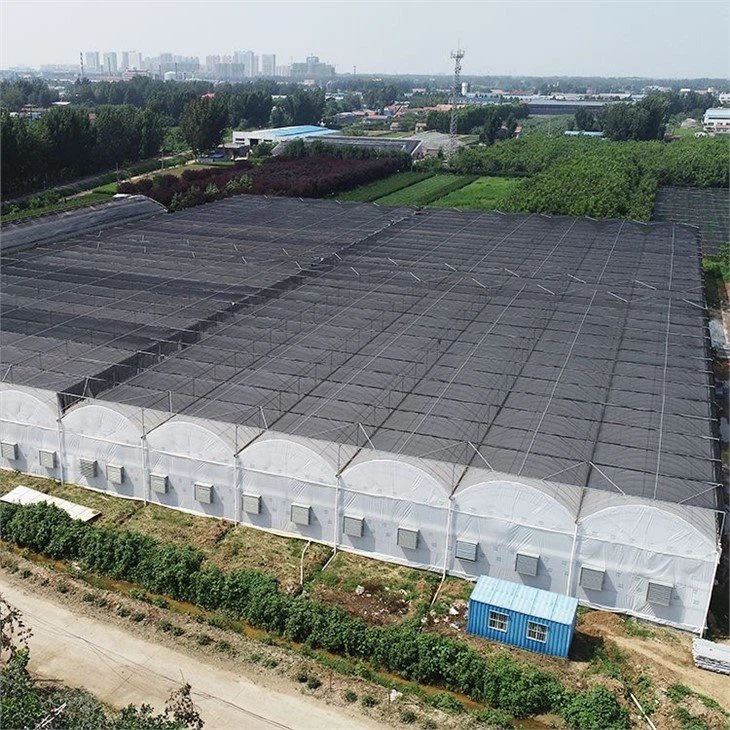 www.greenhouse-china.com(001)