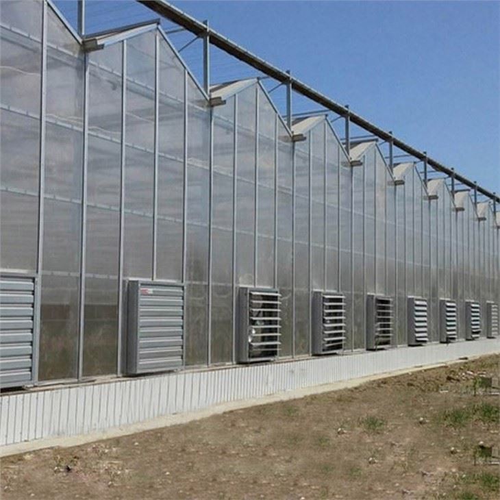 PC Greenhouse For Agriculture