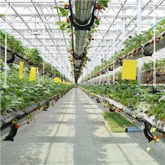 การให้คําปรึกษาด้านวิศวกรรมเรือนกระจก