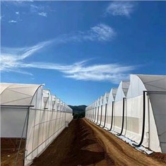 เรือนกระจกระบบไฮโดรโปนิกส์