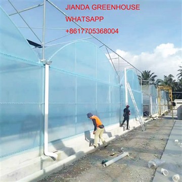 โรงเรือนฟิล์มพลาสติกส่งออก