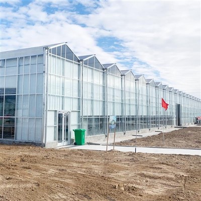 เวนโล กรีนเฮาส์