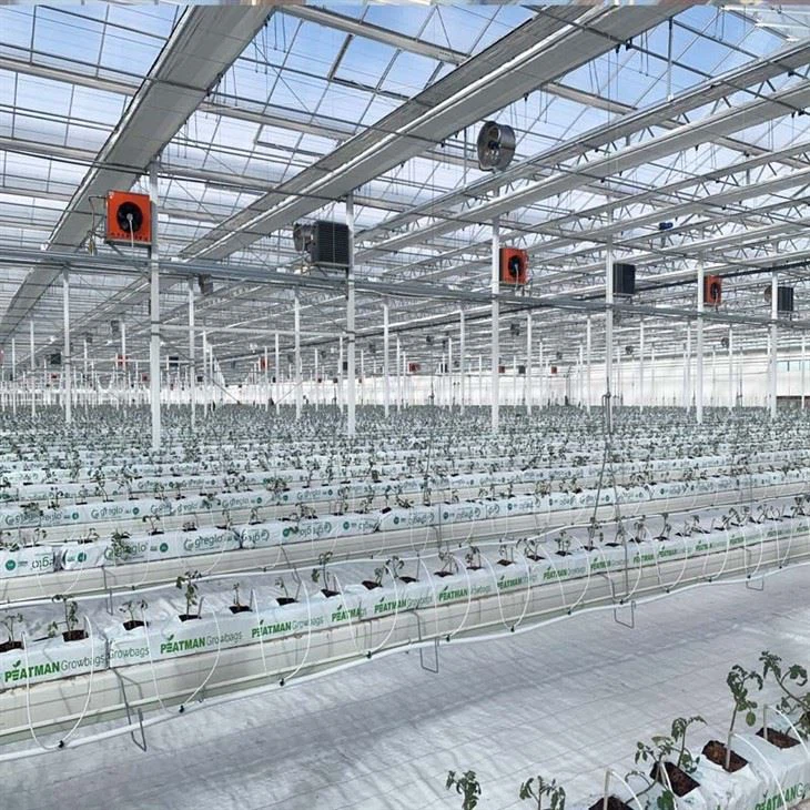 VENLO GREENHOUSE