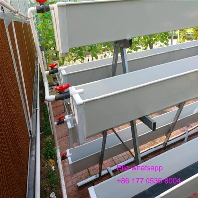PVC การปลูกรางน้ำสำหรับปลูกผักในเรือนกระจก
