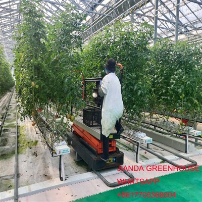 การสร้างระบบไฮโดรโปนิกส์มาตรฐานของเนเธอร์แลนด์